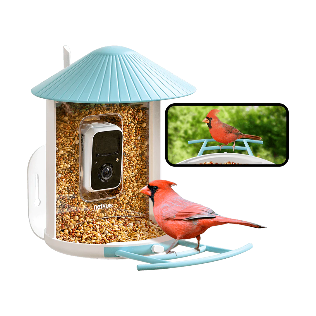 Birdfy's AI-Powered Smart Bird Feeder Hits One of Its Best Prices Ever