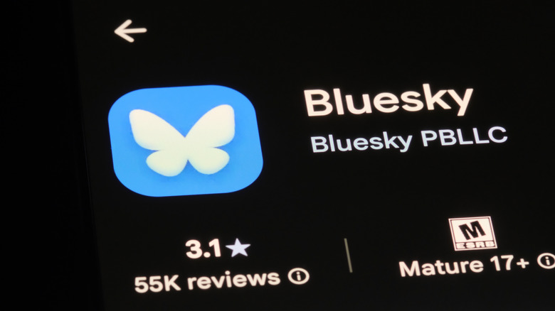 Bluesky Finds a Permanent CEO: Toni Schneider Takes the Helm