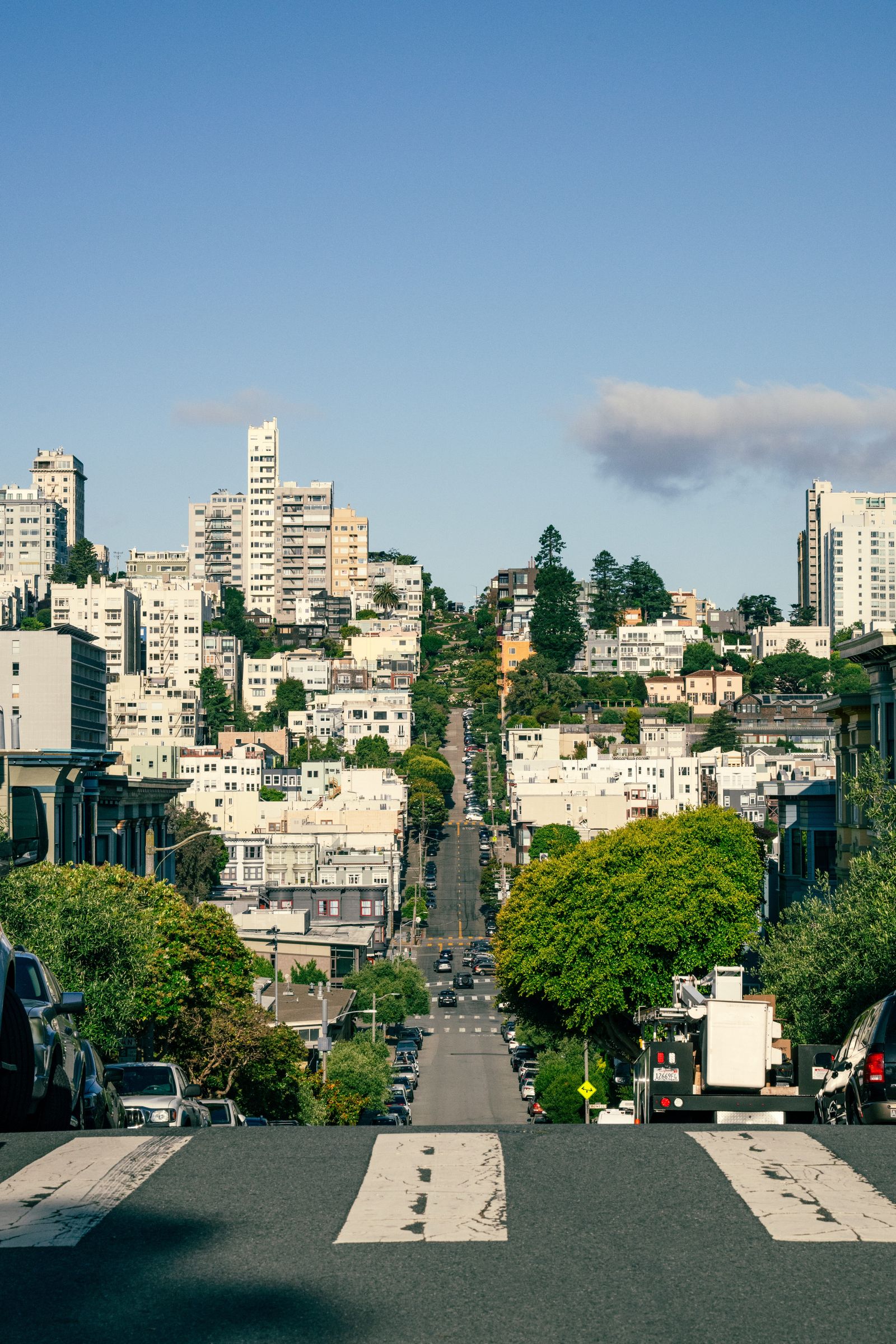 Designer Zac Posen Has Fallen Hard for San Francisco