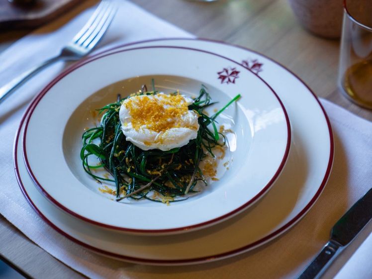 Discover the Best Restaurants in Florence: A Guide to Tuscany's Culinary Heart