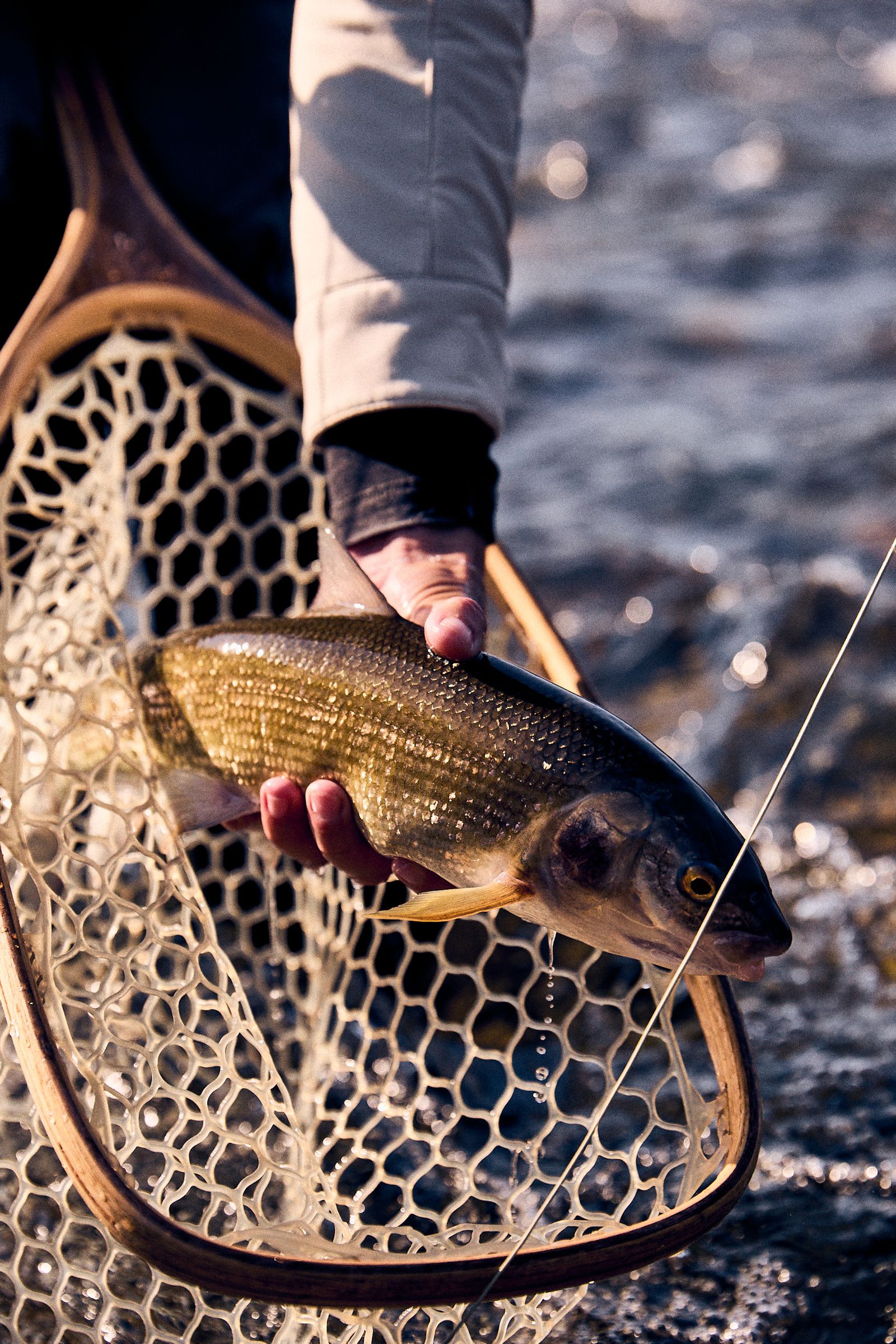 Discover the Hidden Gem of Big Sky, Montana: A Summer Paradise