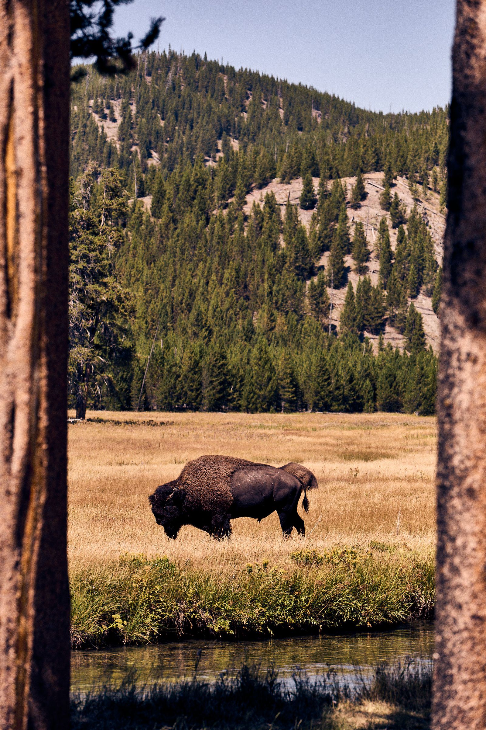 Discover the Hidden Gem of Big Sky, Montana: A Summer Paradise