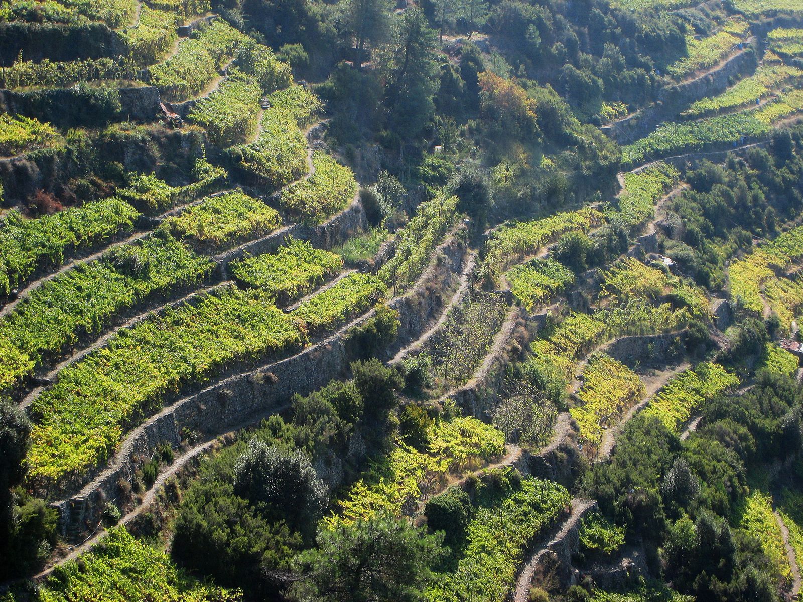 Discover the Hidden Gem of Levanto, Italy: A Coastal Town Like No Other