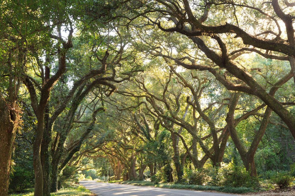 Discover the Most Beautiful Towns in America for a Postcard-Perfect Vacation