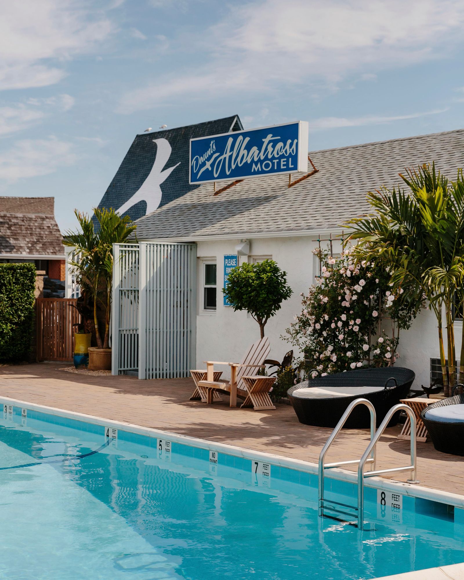 Discover the Timeless Charm of Daunt's Albatross in Montauk, New York