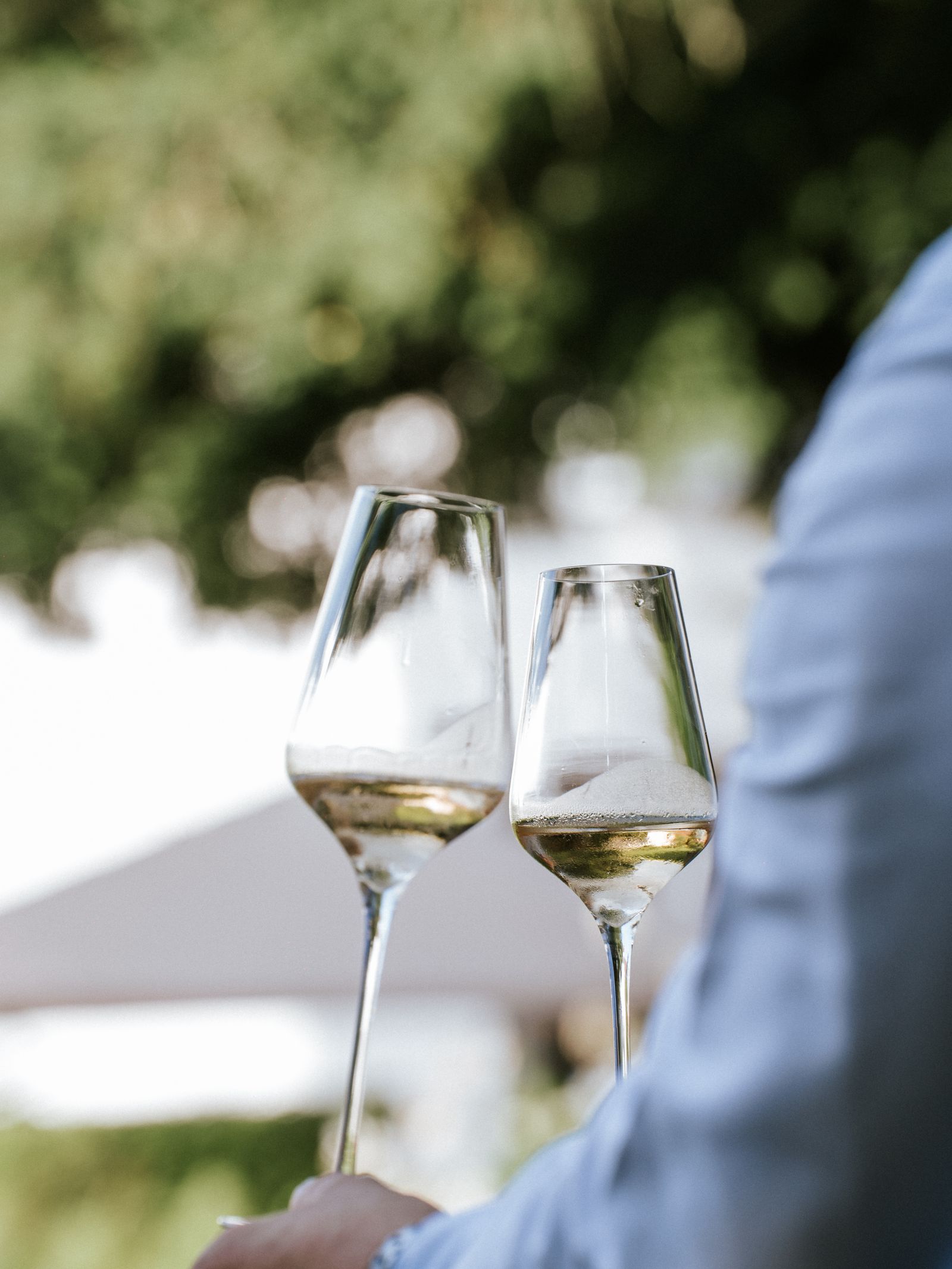 Discovering the Art of Winetasting on a Honeymoon in Champagne