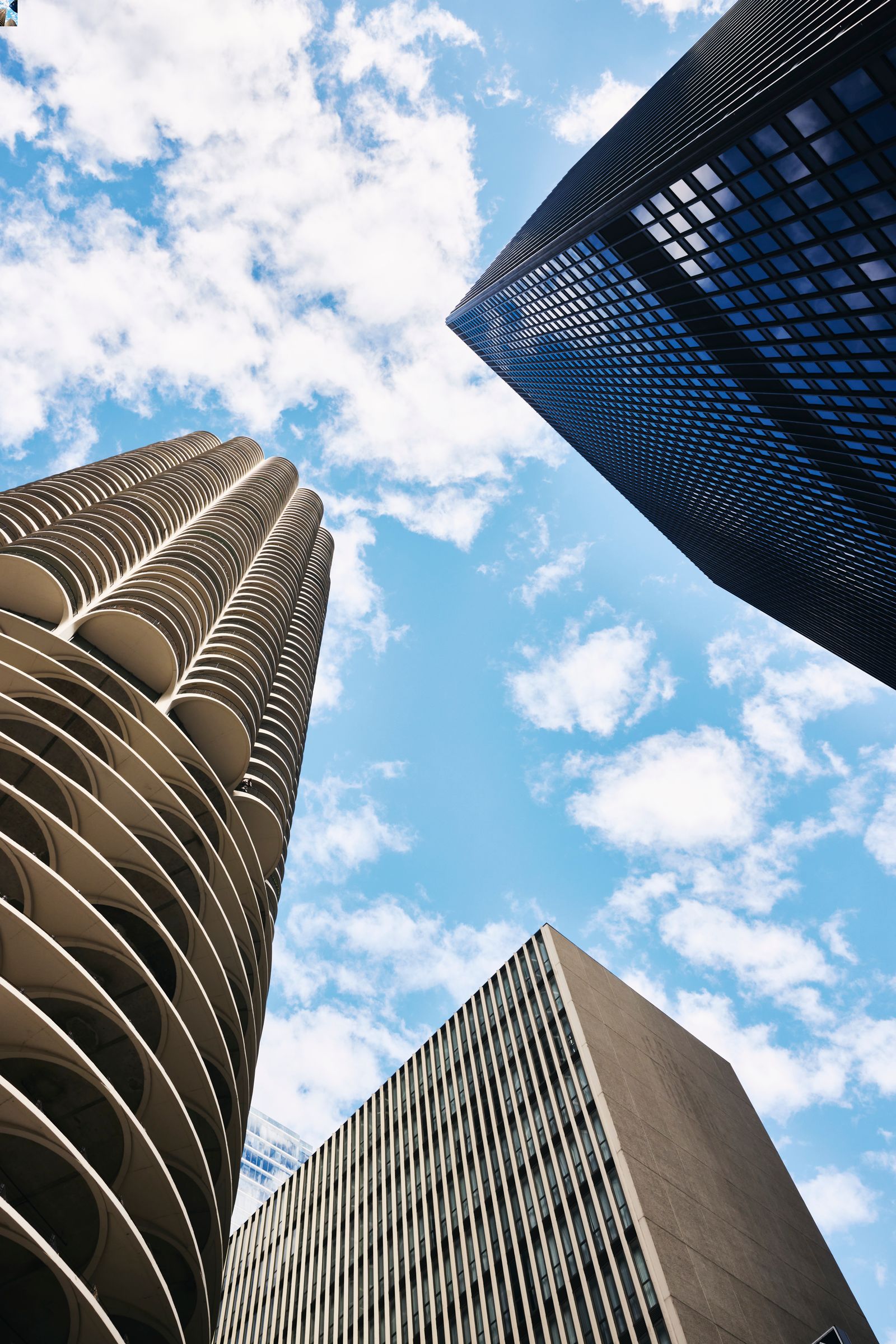 Falling Back in Love with Chicago, After Years Living in New York