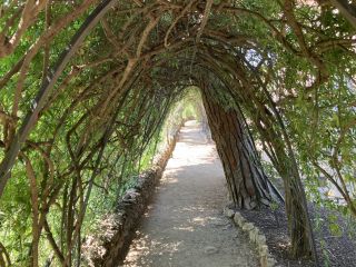 How Nature Helps Us Return to Ourselves