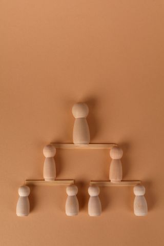 No Evil, No Bad Parts: Sociological Support for IFS
