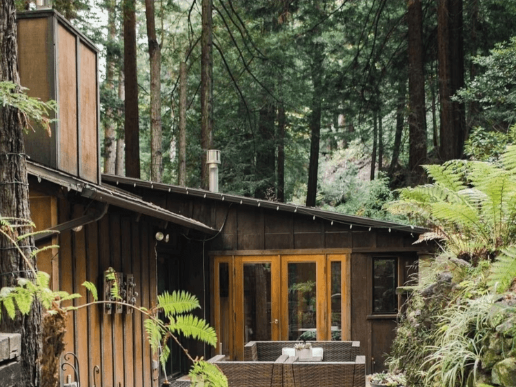 The Best Airbnb Rentals Near California's Majestic Big Sur