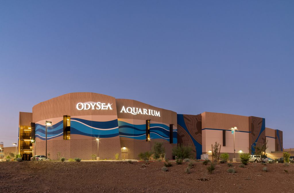 The Best Aquariums in the US