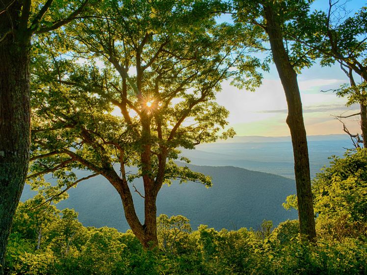 The Best Places to Stay Near Shenandoah National Park for Blue Ridge Mountain Views and Appalachian Trail Activities