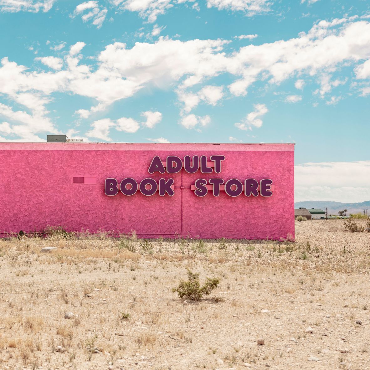 The Fascinating Facades of America's Strip Clubs: A Photographic Journey