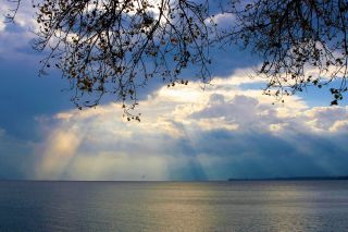 Unlock the Power of Mindful Hope: A New Research Breakthrough