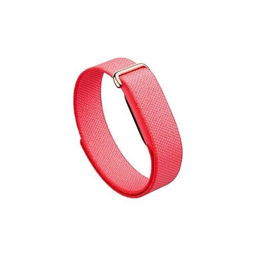 Why Bevel is a Better App for Fitbit Air Than Google Health