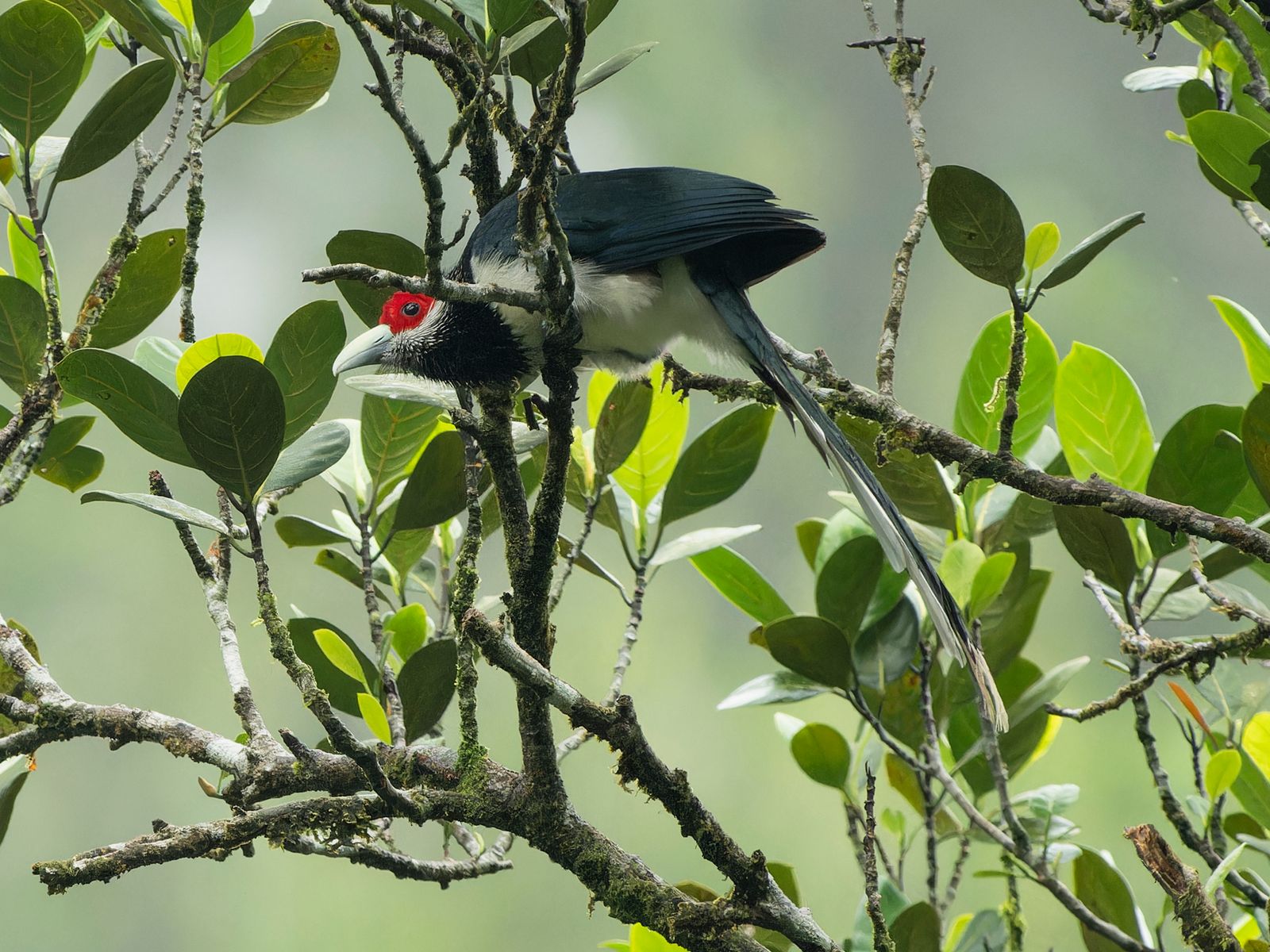 11 Unforgettable Birdwatching Destinations Around the World