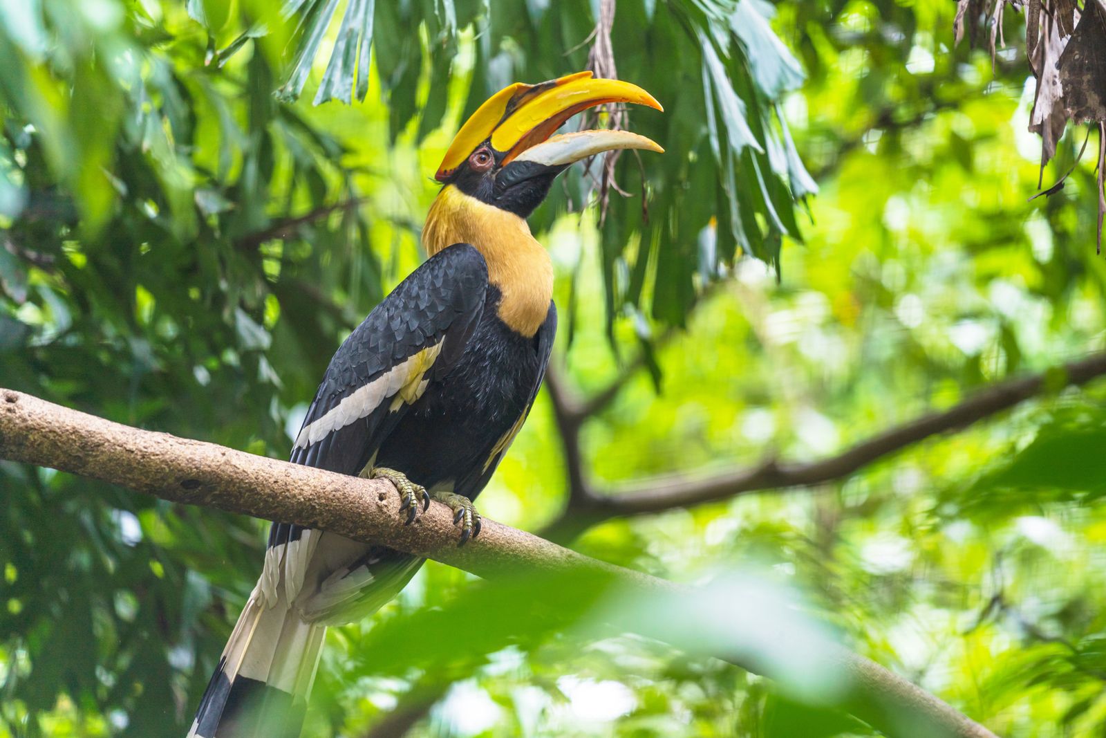 11 Unforgettable Birdwatching Destinations Around the World