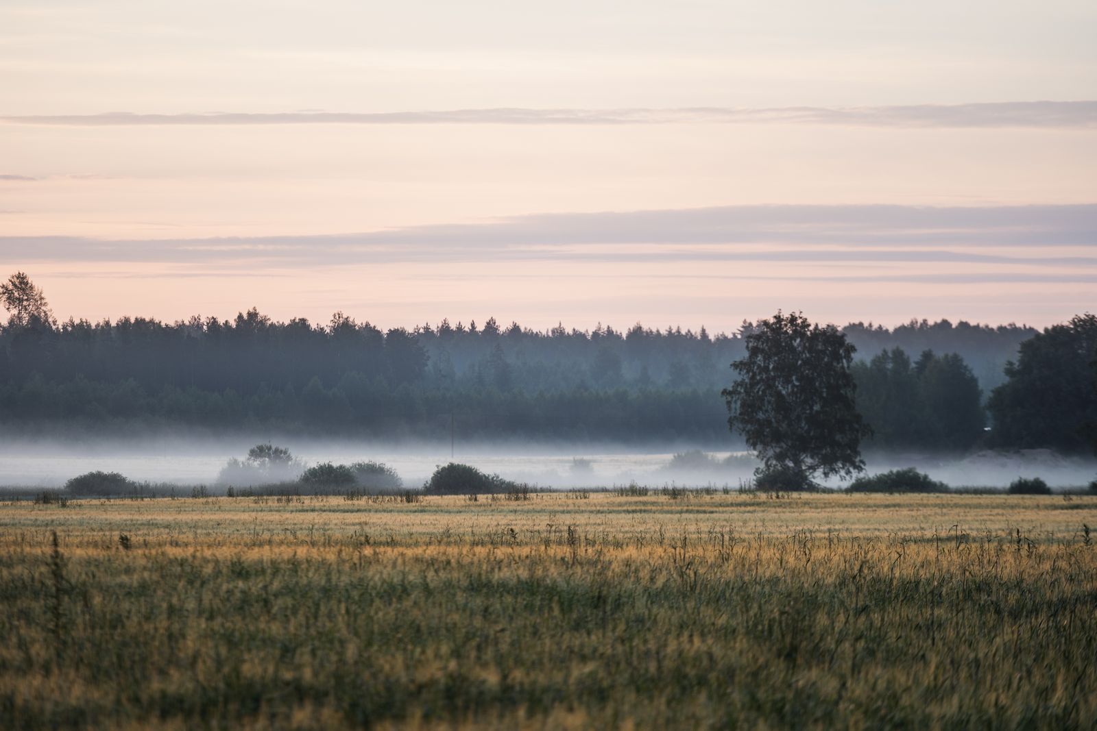 The Cultural Treasure of Setomaa: Preserving Tradition on Estonia's Russian Border