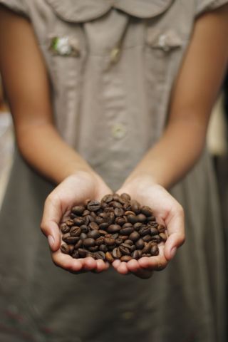 The Surprising Ways Coffee Affects Mood and Cognition Through the Gut-Brain Axis