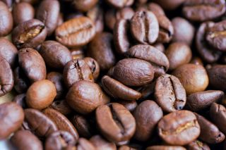 The Surprising Ways Coffee Affects Mood and Cognition Through the Gut-Brain Axis