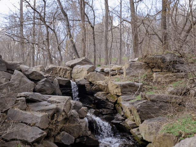 Uncovering the Hidden Secrets of Central Park: A Journey Through the Unseen